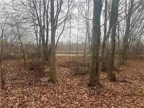 Stanley Road, Windham, OH 44231 photo 8