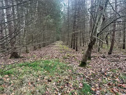 Stanley Road, Windham, OH 44231