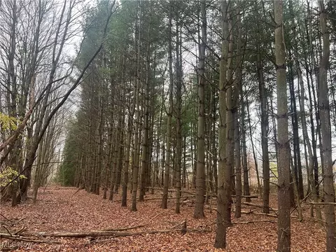 Stanley Road, Windham, OH 44231 photo 10