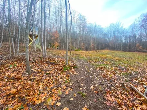Standing Rock Road, Kimbolton, OH 43749