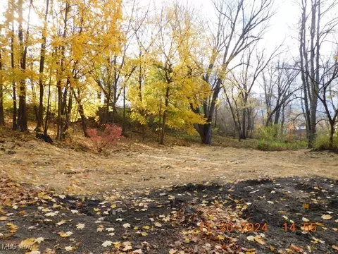 6011 Jefferson Ave, Ashtabula, OH 44004 photo 4