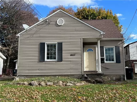 1027 Brown St, Akron, OH 44301