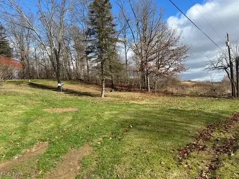 Other - 37484 Applegate Rd, Lisbon, OH 44432 photo 12 of 19