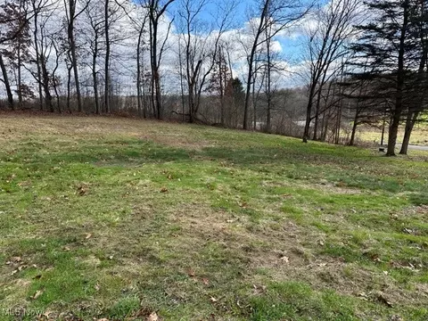 Other - 37484 Applegate Rd, Lisbon, OH 44432 photo 15 of 19