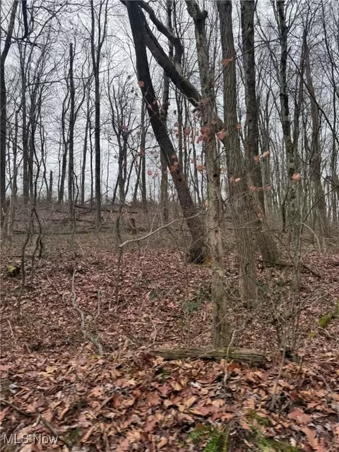 State Route 555, Corning, OH 43730 photo 6