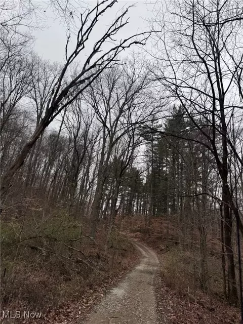 State Route 555, Corning, OH 43730 photo 7