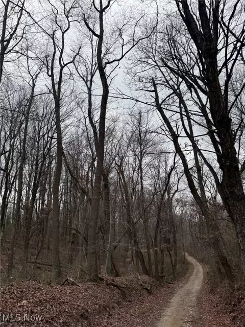 State Route 555, Corning, OH 43730 photo 2
