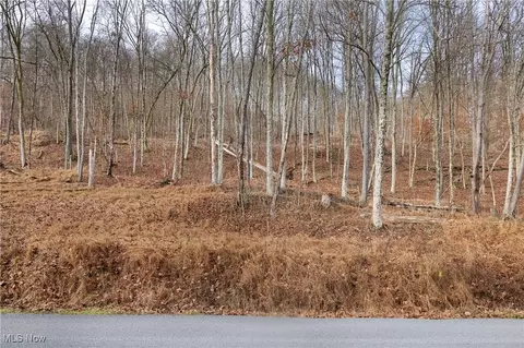 Vl Township Road 166, Bloomingdale, OH 43910