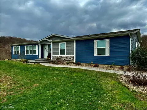 942 Henry Camp Rd, Saint Marys, WV 26170