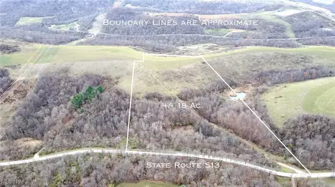 36 Acres State Route 513, Quaker City, OH 43773