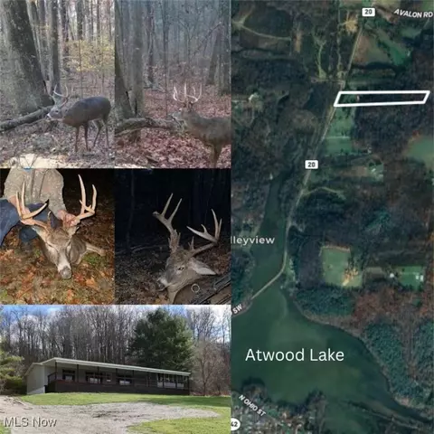 406 Avalon Rd SW, Dellroy, OH 44620