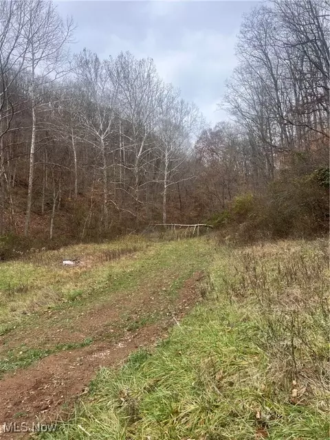 4355 Walker Rd, Walker, WV 26180 photo 10