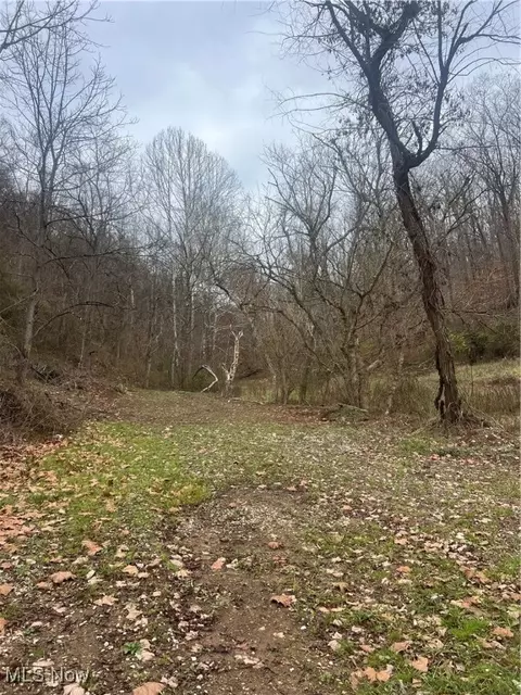 4355 Walker Rd, Walker, WV 26180 photo 9