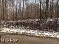 Boy-mar Drive, Rock Creek, OH 44084
