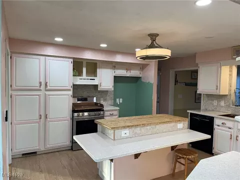 Kitchen - 170 Burns Rd, Elyria, OH 44035 photo 2 of 5