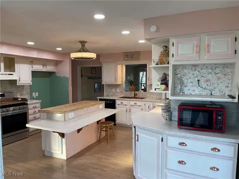Kitchen - 170 Burns Rd, Elyria, OH 44035 photo 1 of 5