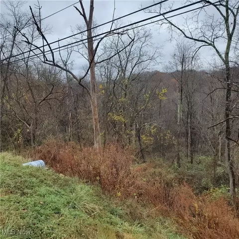 Oh-800, Woodsfield, OH 43793