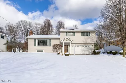 10121 Belmeadow Dr, Twinsburg, OH 44087