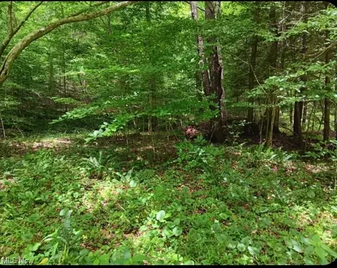 6 Ac Wolf Crk, Sutton, WV 26601