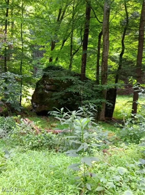 6 Ac Wolf Crk, Sutton, WV 26601 photo 4