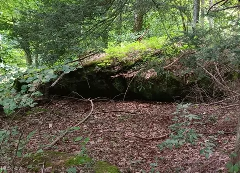 6 Ac Wolf Crk, Sutton, WV 26601 photo 2