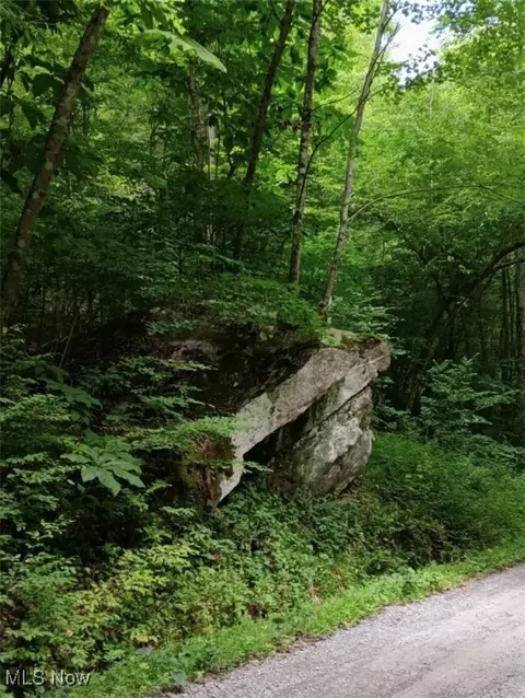 6 Ac Wolf Crk, Sutton, WV 26601 photo 3