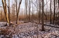 Ensign Road, West Farmington, OH 44491
