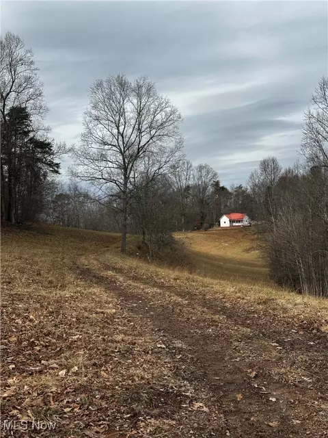 825 Cranenest Rd, Reedy, WV 25270