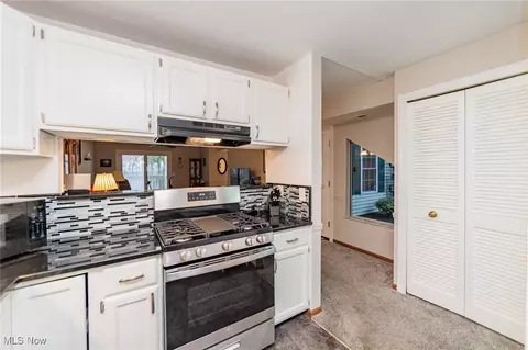 6131 Center St #103, Mentor, OH 44060 photo 18