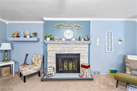 3589 Center Rd, Perry, OH 44081 photo 5