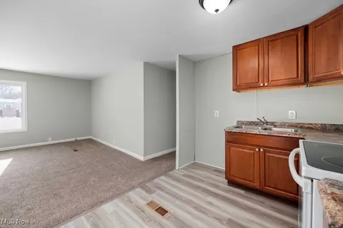 Living - 429 Morgan Ct, Lagrange, OH 44050 photo 3 of 8
