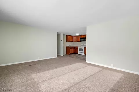 Living - 429 Morgan Ct, Lagrange, OH 44050 photo 7 of 8