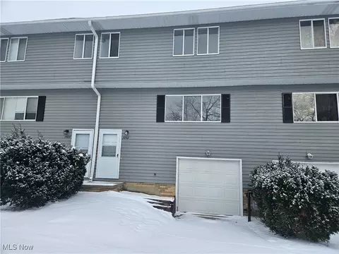 1002 Academy Ct, Painesville, OH 44077