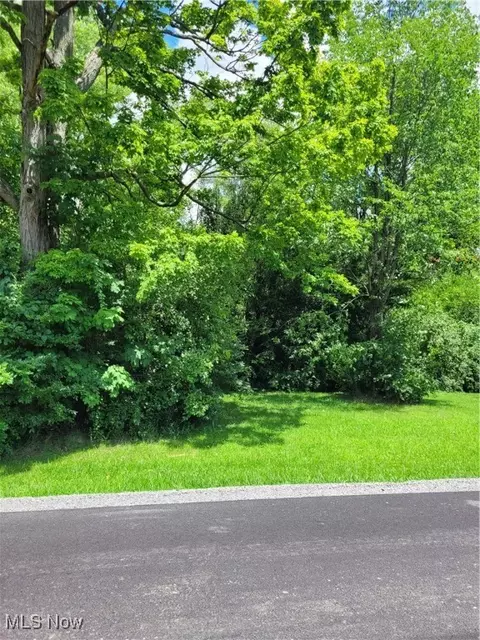 Townsend Avenue, Youngstown, OH 44505