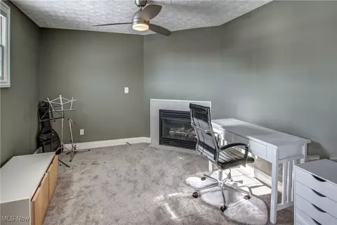 7231 Longview Dr, Solon, OH 44139 photo 23