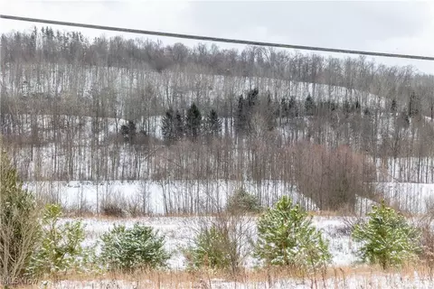 4029 Tall Timber Rd NE, Mineral City, OH 44656