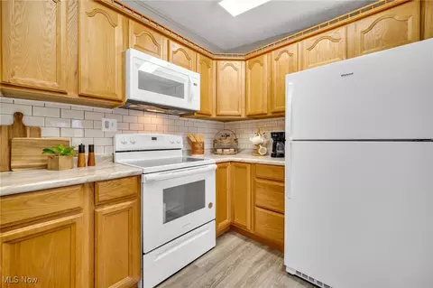 268 Stable Dr, Lagrange, OH 44050 photo 14