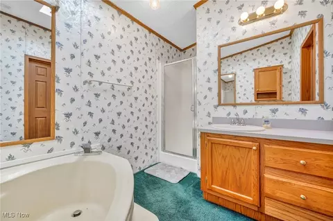Bath - 739 Silvercrest Dr, Wadsworth, OH 44281 photo 2 of 3