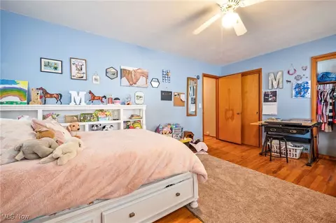 Bedroom - 7366 Hitchcock Rd, Boardman, OH 44512 photo 5 of 8