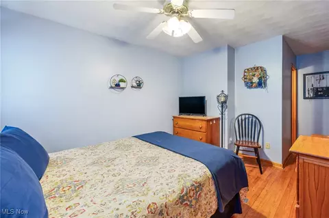 Bedroom - 7366 Hitchcock Rd, Boardman, OH 44512 photo 3 of 8