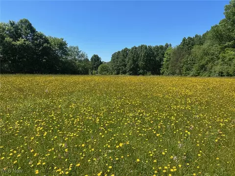 Tallmadge Road, Rootstown, OH 44272