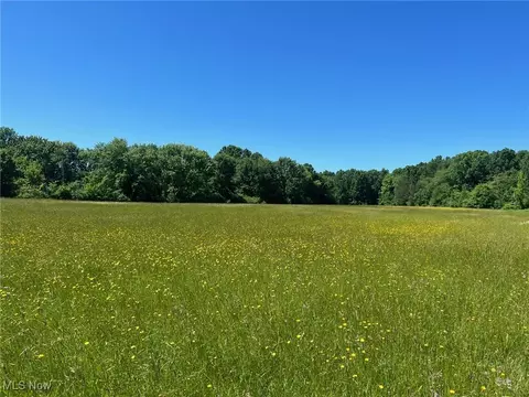 Tallmadge Road, Rootstown, OH 44272 photo 2
