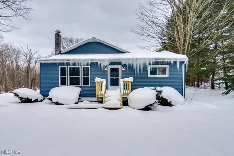 11658 Pekin Rd, Newbury, OH 44065