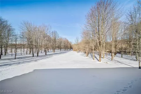 Other - 282 S Ridge Rd W, Conneaut, OH 44030 photo 16 of 18