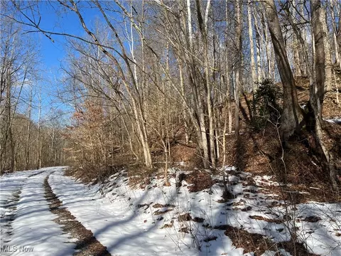 0 Walker Rd, Walker, WV 26180 photo 5
