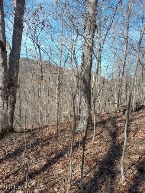 0 Road Fork Rd, Caldwell, OH 43724