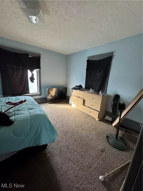 155 Riverside Dr, Ashtabula, OH 44004 photo 18