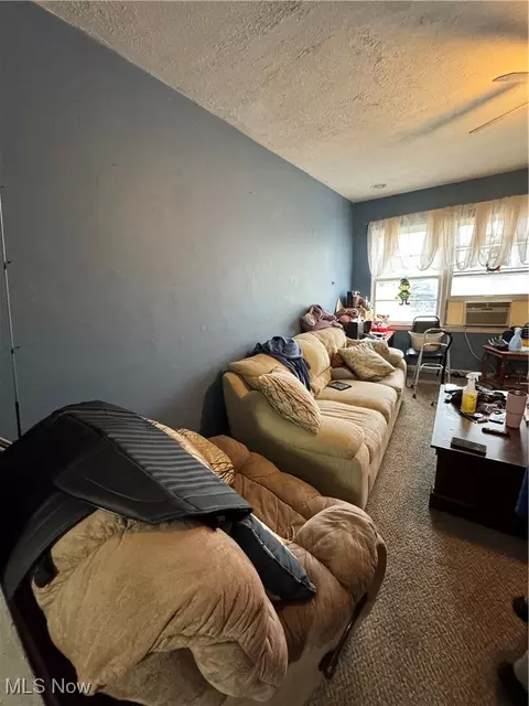 5837 Ogden Ave, Ashtabula, OH 44004 photo 8