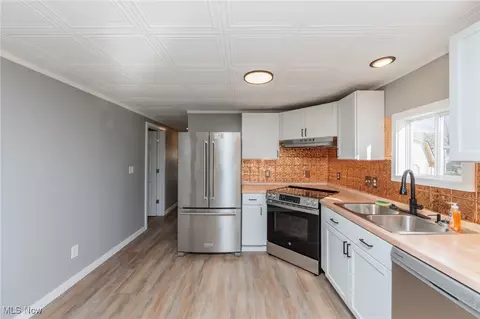 38 Anglers Ln, Lagrange, OH 44050 photo 5