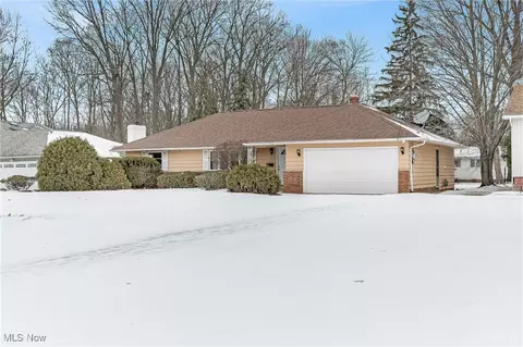 25897 Euclid Chagrin Pkwy, Richmond Heights, OH 44143
